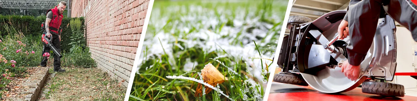 Rasen winterfir machen | Tipps von AL-KO Gardentech