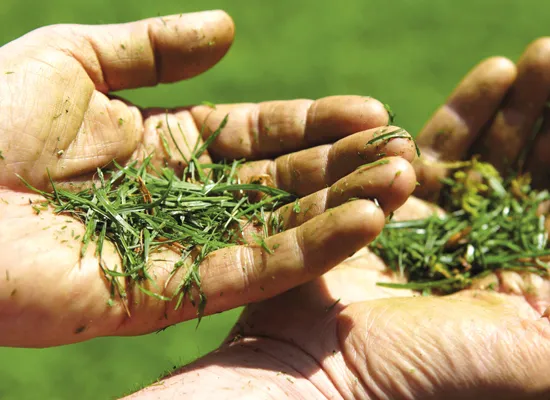 Rasenmäher | AL-KO MaxAirflow Technologie nie mehr grüne Finger beim Rasenmähen
